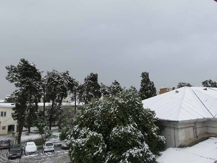 یک روز زمستانی برفی زیبا در بیمارستان شهید یحیی نژاد...
